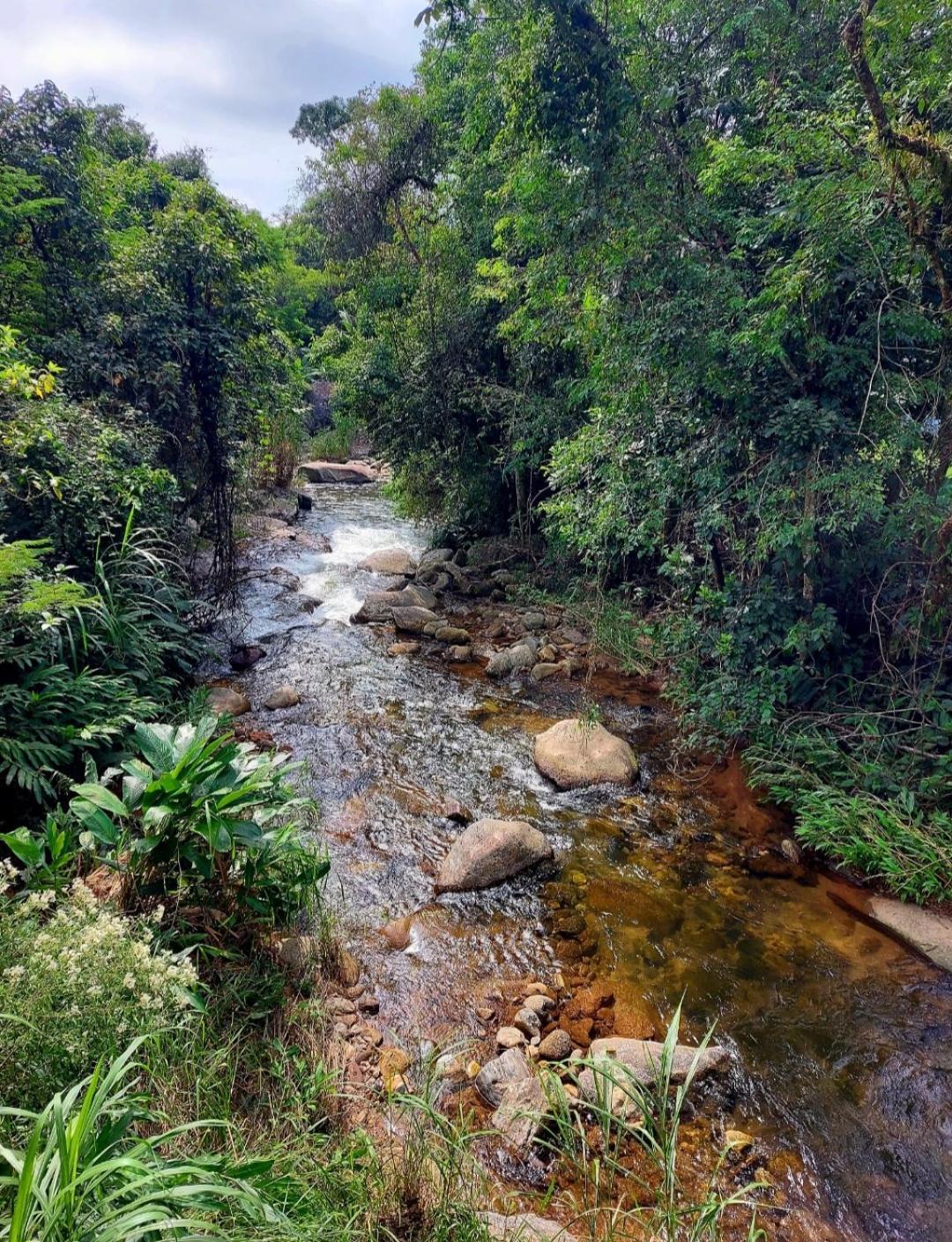 Pousada Sitio Monte Sinai São José do Barreiro Exterior foto