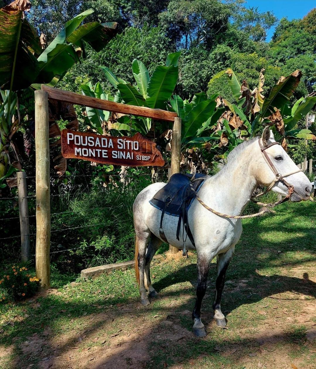 Pousada Sitio Monte Sinai São José do Barreiro Exterior foto